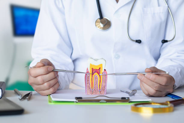 Best Emergency Root Canal Treatment in Leominster, MA